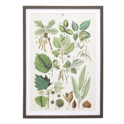 Homesense Colour Drench leaf print in frame &pound;34.99