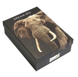 Homesense - Elephant File Box, &pound;6.99 (1)