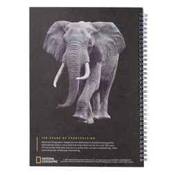 Homesense - Elephant Notebook, &pound;5.99 (5)