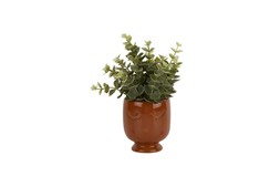 Homesense Fake Plant &pound;6.99