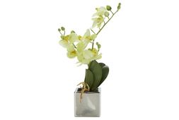 Homesense - Faux Orchid, &pound;9.99