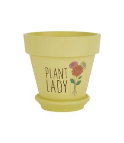 Homesense flower pot &pound;5.99