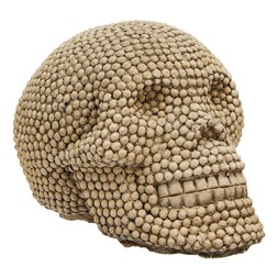 Homesense Halloween concrete textured skull
