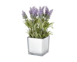 Homesense lavander &pound;7.99