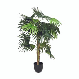 PARTY Faux Palm £39.99