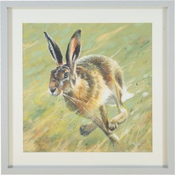 Rabbit Wall Art &pound;29.99