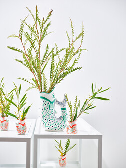 Oliver Bonas Summer Home