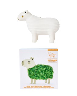 Capybara Chia Planter