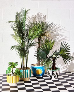 Oliver Bonas Plant Pots from £35 (2)
