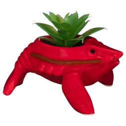 B&M HOME SS26 // ISLE LIFE - LIMITED TIME ONLY // LOBSTER SUCCULENT // £2.50 //