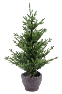 Norway Potted Tree Pre-Lit Outdoor 120cm