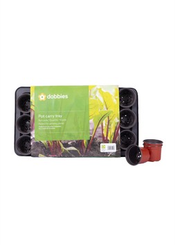 Dobbies Potting On Pots 18x9cm