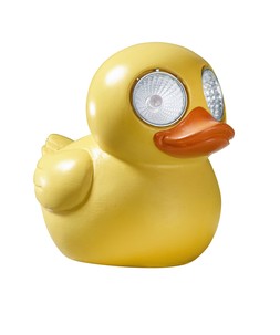 Lucky Ducky!