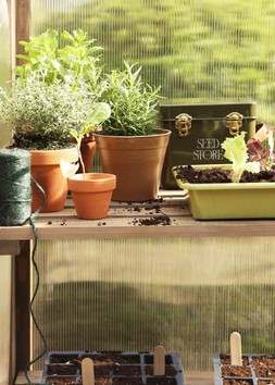 Grow your own