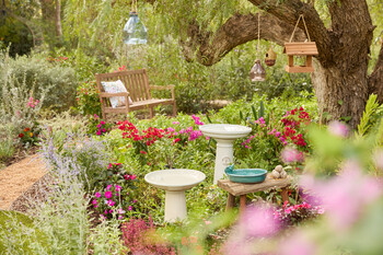 https://dc-42351dc5a6b3.prshots.es/contents/archives/3552/1530/images/thumb350x287_auto/dobbies-garden-centres_somerset-bench-gbp199_thumb.jpg