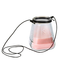 CITRONELLA GARDEN LIGHTS WITH HANGER SUMMER BLOSSOM &pound;6.99