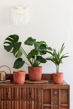 KEW EMBOSSED FERN RUST PLANTERS &pound;17.99 - &pound; &pound;39.99