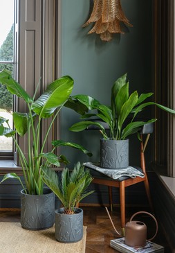 KEW STONEWARE MEADOW PLANTER MIDNIGHT &pound;12.99 - &pound;64.99