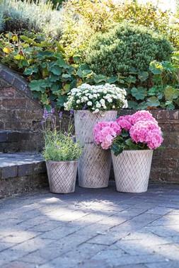 OUTDOOR CHATSWORTH ZINC VASE H50CM W28CM &pound;49.99 & OUTDOOR CHATSWORTH ZINC PLANTER H32CM W36CM &pound;39.99 & OUTDOOR CHATSWORTH ZINC PLANTER H26CM W26CM &pound;29.99