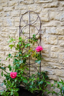 OUTDOOR CYLINDER TRELLIS BRONZE H125CM W36CM &pound;49.99