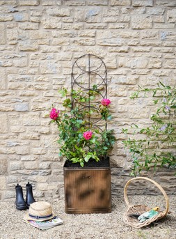 OUTDOOR CYLINDER TRELLIS BRONZE H125CM W36CM &pound;49.99