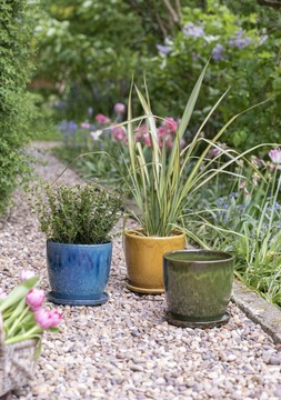 OUTDOOR GLAZED POTS AND SAUCERS IN GREEN, MUSTARD AND BULE - &pound;24.99 each