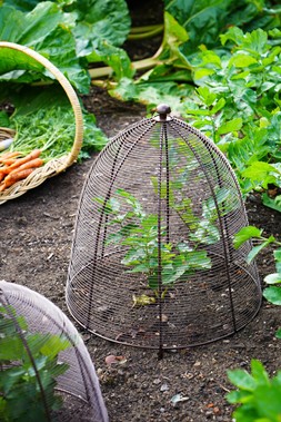 OUTDOOR WIRED PLANT PROTECTOR BRONZE H48CM W36CM &pound;34.99