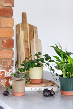 ADELINE BEADED EDGE PASTEL PLANTER IN YELLOW, MOCHA AND FOREST GREEN £12.99 TO £15.99