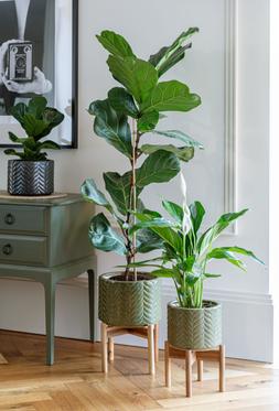 Aspen Chevron Olive Planter H34cm D22cm &pound;44.99