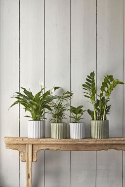 AZALEA STONE RIBBED SPECKLE PLANTERs