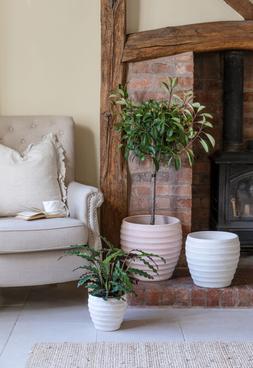 Beatrice White Planter H27cm D29cm &pound;39.99