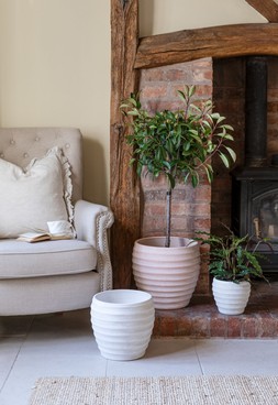 Beatrice White Planter H27cm D29cm &pound;39.99