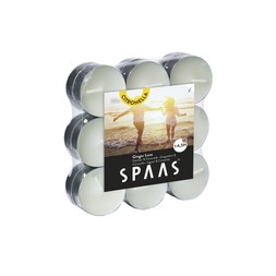 CITRONELLA TEALIGHTS PACK OF 18 GINGER &pound;5.99