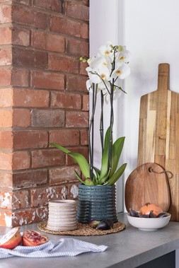CASPER ROLLED TEAL PLANTER H16.5CM D19CM £24.99