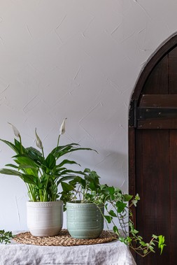 DELPHINE GARLAND RIM PLANTER IN SAGE, COTTON AND PLUM £12.99 TO £15.99