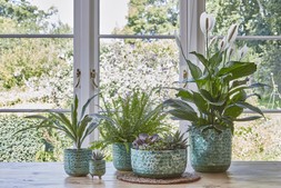 Emerald Reactiveglaze Bowl H12.5cm D25cm &pound;34.99