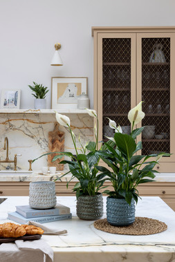 EMERY ROPE TEXTURED PLANTER IN WHITE, MINT & BLUE £22.99 Each