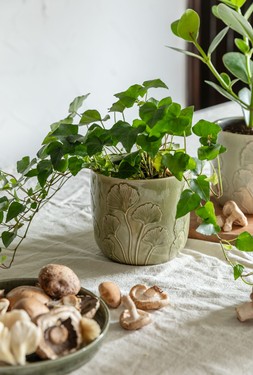 EMBOSSED MUSHROOM PLANTER H13CM D13.5CM IN SEPIA, MOSS AND IVORY £9.99