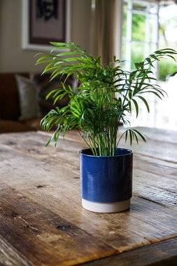 Enos Pot Blue H10.5cm D10cm &pound;5.99