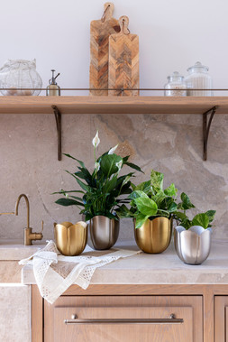 EVA METAL TULIP SILVER PLANTER SET OF 2 £34.98 & EVA METAL TULIP GOLD PLANTER SET OF 2 £34.98.