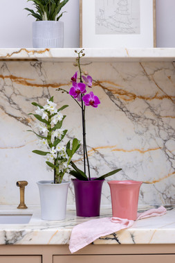 FLORA ORCHID PLANTER in WHITE, PINK & PURPLE £6.99 Each