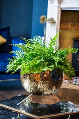 HAMMERED BOWL GOLD:BLACK 9CM &pound;39.99