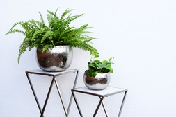 Hammered Bowlnickel:Black &pound;39.99 1