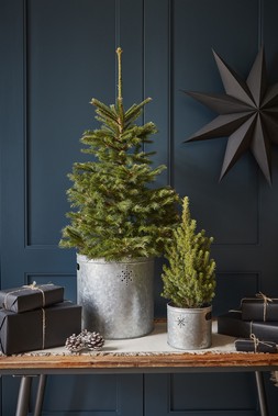 INDOOR PLANTER WITH STAR IN GALVANISED STEEL H28CM W28CM £39.99, INDOOR PLANTER WITH STAR IN GALVANISED STEEL H23CM W23CM £29.99