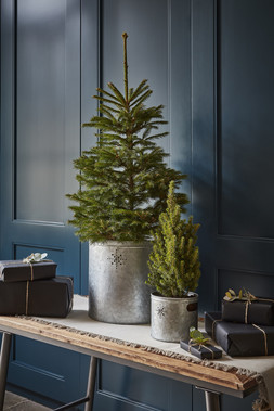 INDOOR PLANTER WITH STAR IN GALVANISED STEEL H28CM W28CM £39.99