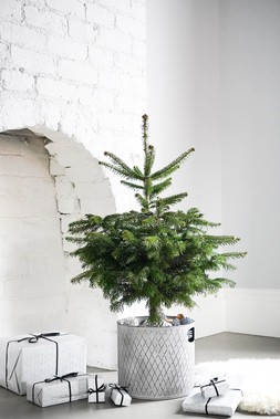 Indoor Christmas Tree Bucket Zinc H28Cm W28Cm &pound;59.99