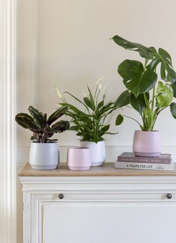 Layla White Planter H13.5cm D14.5cm &pound;7.99