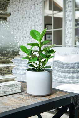 LEON WHITE PLANTER 20.5CM &pound;15.99