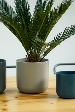 Lisbon Planter Light Grey H26cm D26cm &pound; &pound;29.99