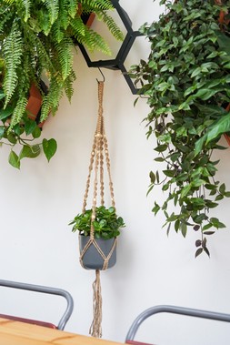 MACRAME PLANT HANGER NATURAL H95CM &pound;14.99